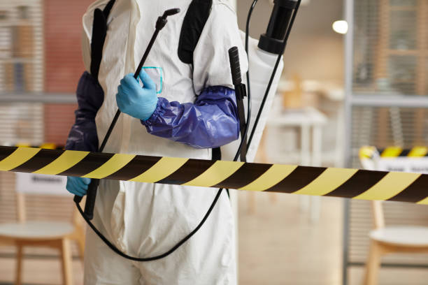 Professional Sewage Cleanup technician working in Hallam, NE